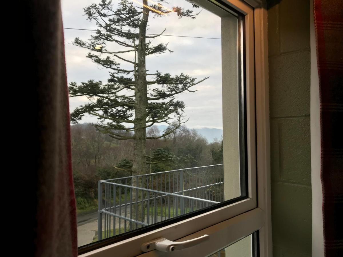 Lodge Mountain - Glamping Pods - Revive Sauna & Hot Tubs Rostrevor