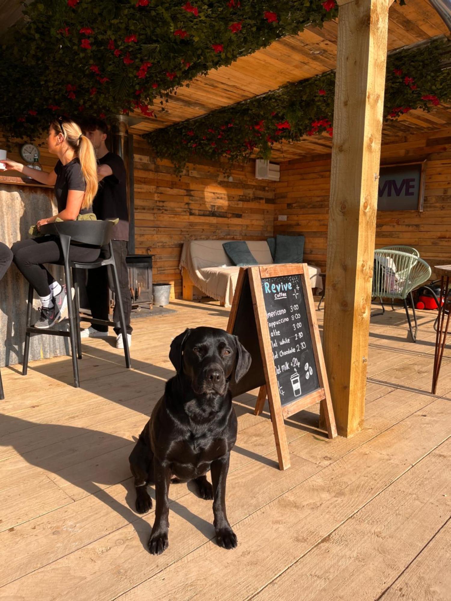 Lodge Mountain - Glamping Pods - Revive Sauna & Hot Tubs
